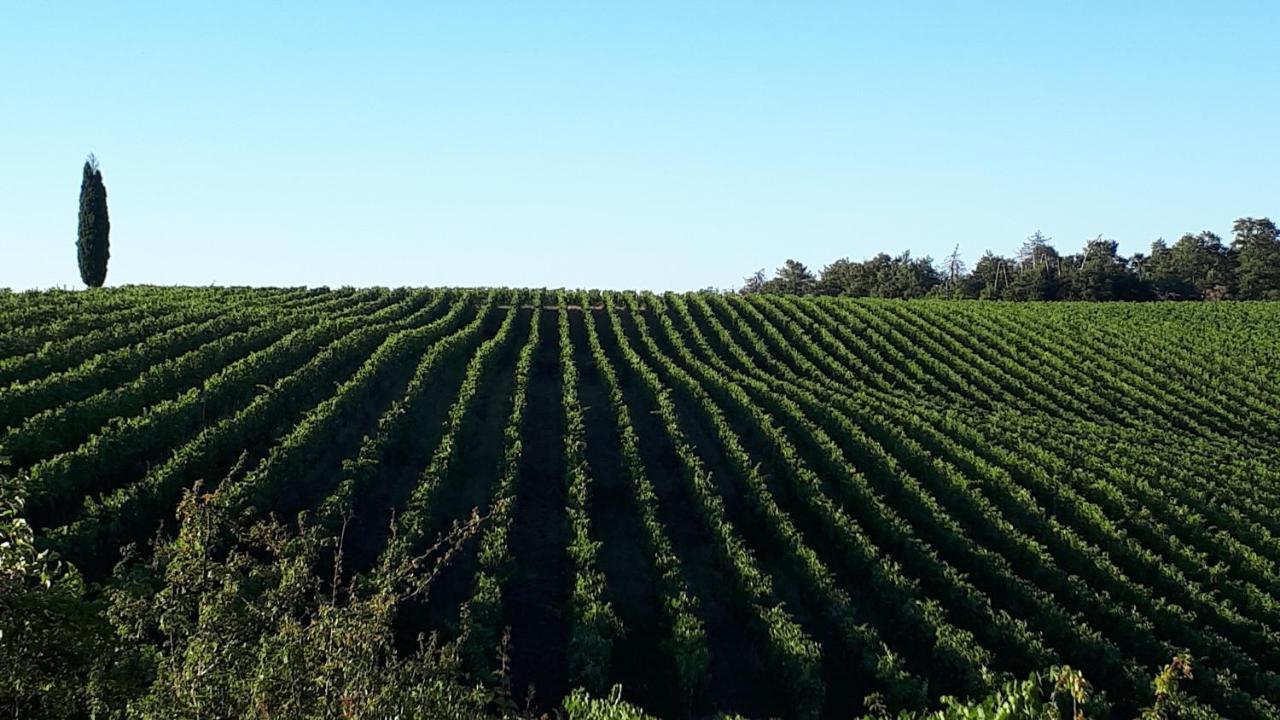 Podere Pievina Delle Corti - Dimora Di Campagna Sinalunga Zewnętrze zdjęcie
