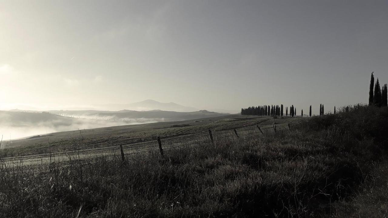 Podere Pievina Delle Corti - Dimora Di Campagna Sinalunga Zewnętrze zdjęcie
