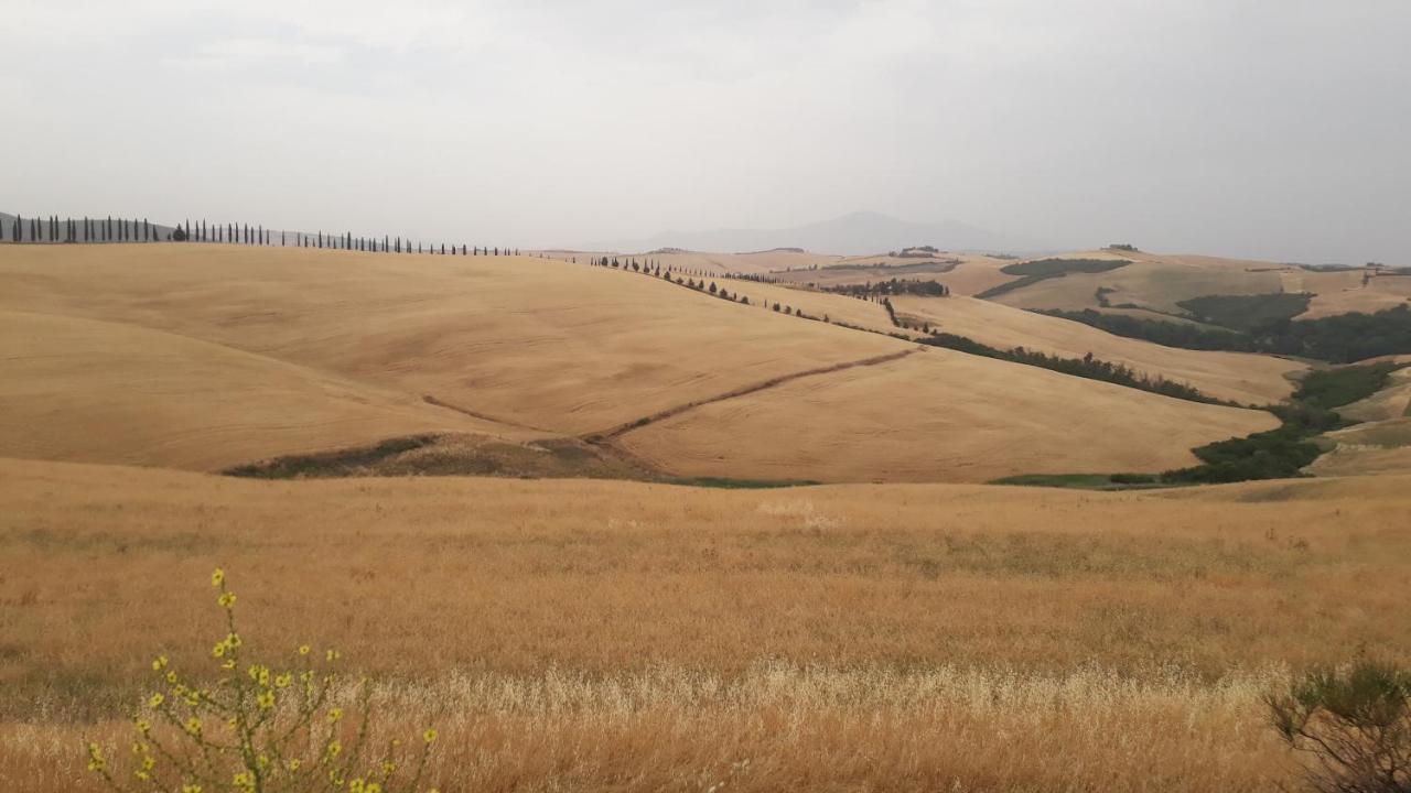 Podere Pievina Delle Corti - Dimora Di Campagna Sinalunga Zewnętrze zdjęcie