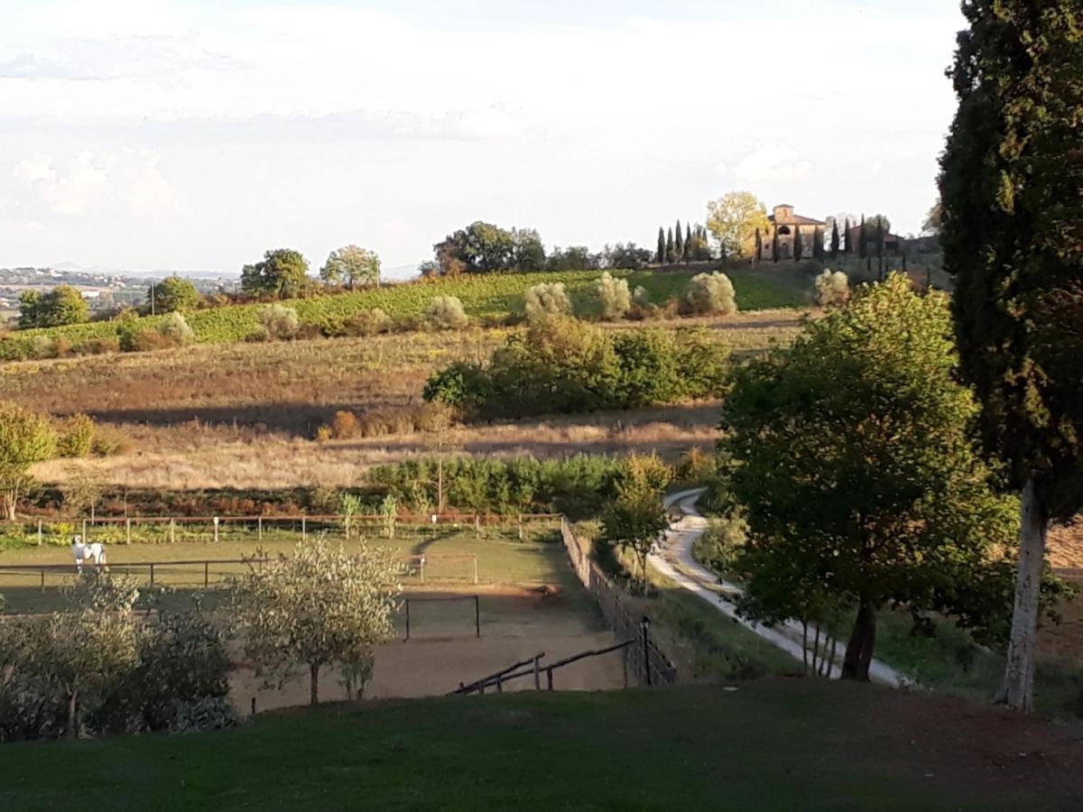 Podere Pievina Delle Corti - Dimora Di Campagna Sinalunga Zewnętrze zdjęcie